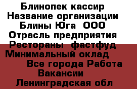 Блинопек-кассир › Название организации ­ Блины Юга, ООО › Отрасль предприятия ­ Рестораны, фастфуд › Минимальный оклад ­ 25 000 - Все города Работа » Вакансии   . Ленинградская обл.